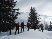 snowshoeing_group